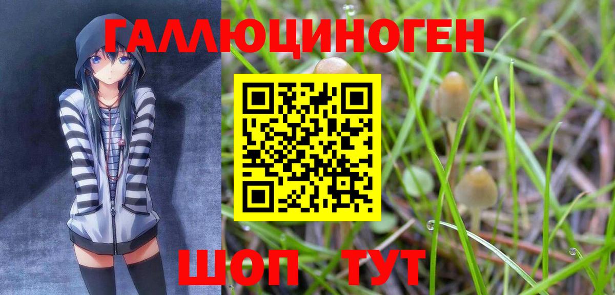 Псилоцибиновые грибы GOLDEN TEACHER  Галлюциногенные грибы ЛСД  Вход с VPN  Каспийск 